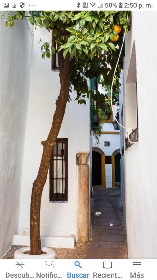 Centro-Mezquita 4 A 8 Huespedes Διαμέρισμα Κόρδοβα Εξωτερικό φωτογραφία